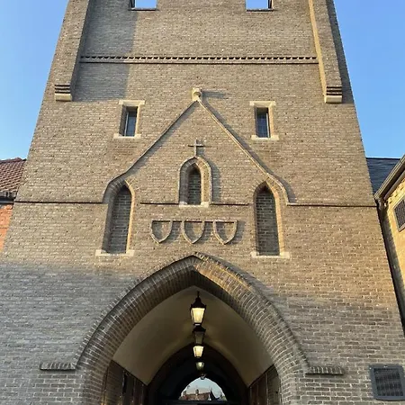 Coral Shores * פילי