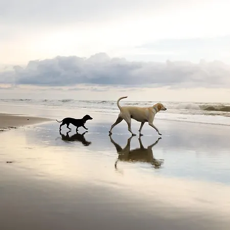 Dom wakacyjny Coral Shores *